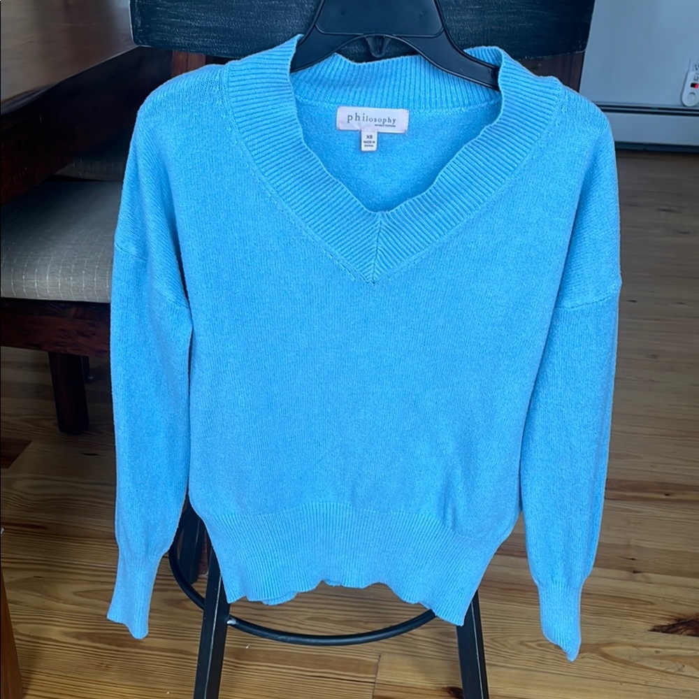 Philosophy Blue V-Neck Sweater